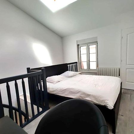 Nancy Hypercentre 34 Rue Des Dominicains ! Apartment Екстериор снимка