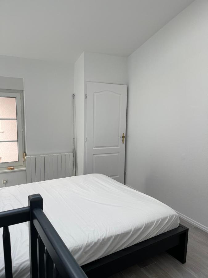 Nancy Hypercentre 34 Rue Des Dominicains ! Apartment Екстериор снимка