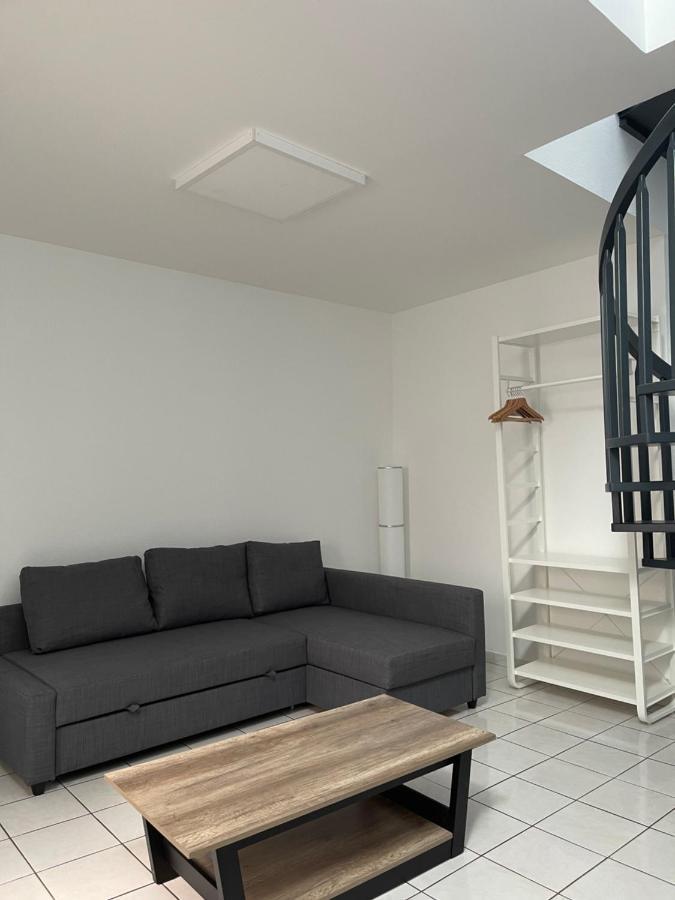 Nancy Hypercentre 34 Rue Des Dominicains ! Apartment Екстериор снимка
