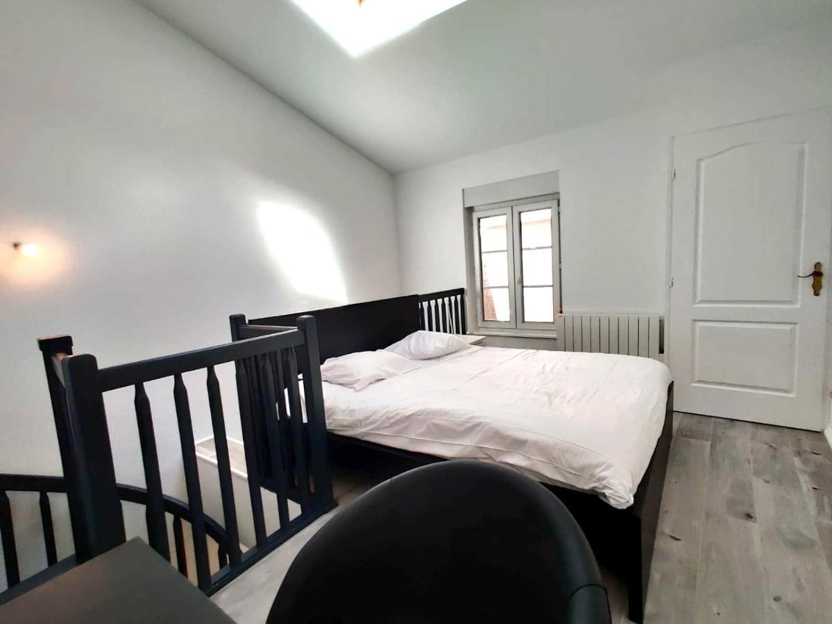 Nancy Hypercentre 34 Rue Des Dominicains ! Apartment Екстериор снимка